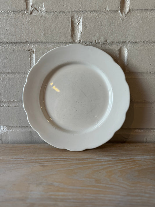 9.5" Dinner Plates (69)