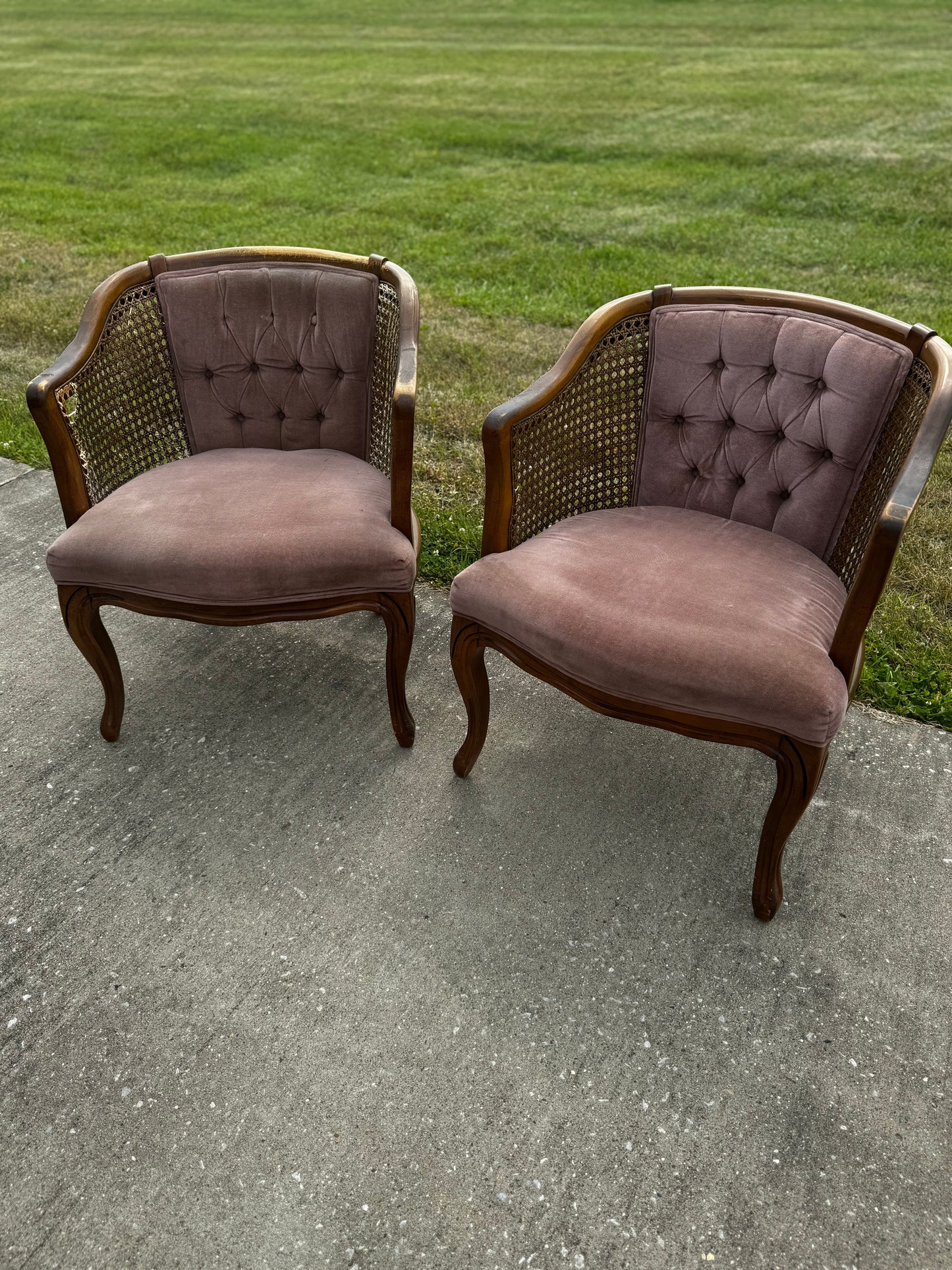 Mauve Cane Chairs (2)